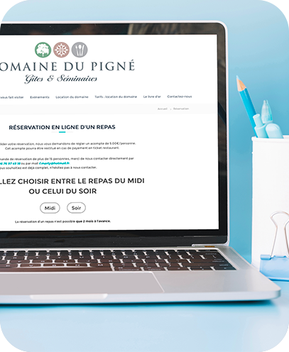 Site web Domaine du Pigné